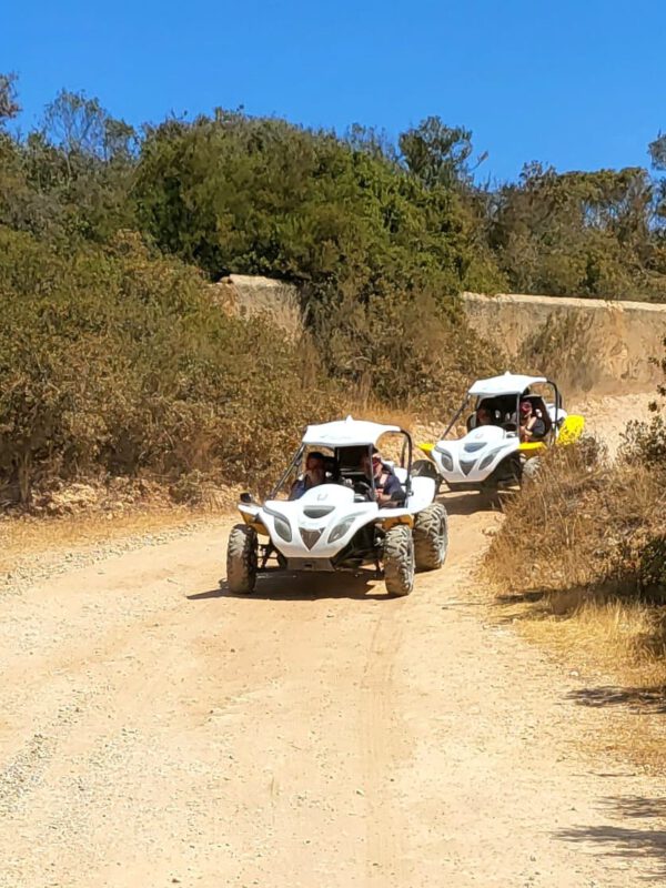 Emotions-Tours Buggy Beach Tour (4)