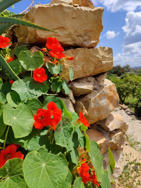 Emotions Tours - Quinta Tour 20